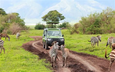 10 Best African Safaris, Tours & Cruises for 2023-2024