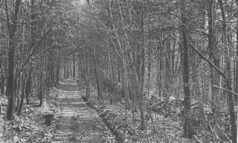 Hebert W. Gleason Photographs (The Writings of Henry David Thoreau 1906) | The Walden Woods Project