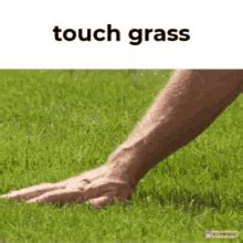 Touching The Grass Touch Some Grass GIF - Touching The Grass Touch Some Grass Ironmouse ...