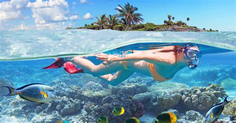 13 Popular Spots For Snorkeling In Bahamas In The Carribean