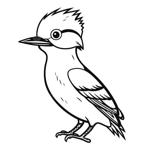 Kookaburra Kookaburra Bird Coloring Pages Printable Bird Template Outline Sketch Drawing Vector ...