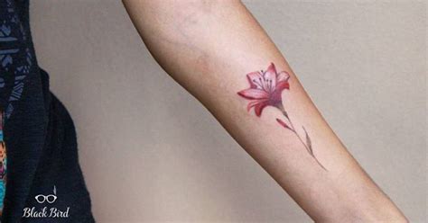 Azucena Flower Tattoos | Best Flower Site