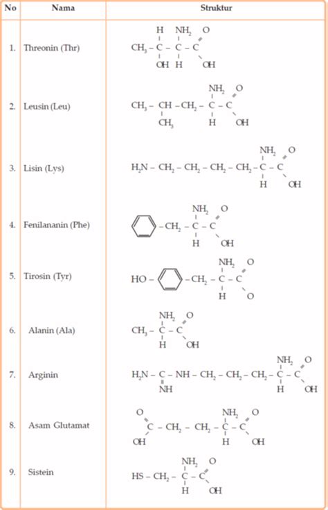 Asam Amino (protein) - Biology Page