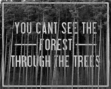 you cant see the forest through the trees | Inspirational quotes motivation, Happy quotes, Daily ...