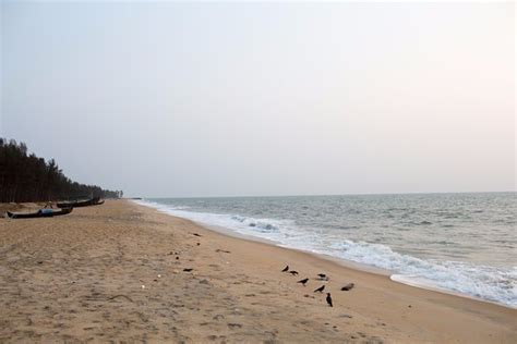 Kuzhupilly Beach House (Kochi (Cochin), Kerala) - Villa Reviews, Photos, Rate Comparison ...