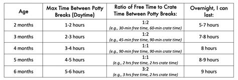 Get Printable Puppy Potty Training Schedule Chart Pictures