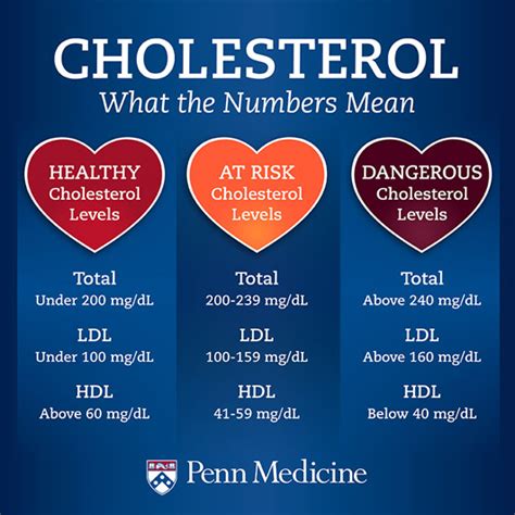 What is a Healthy Cholesterol Level for You? | Penn Medicine