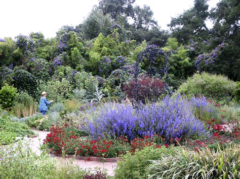 File:Herb Garden, Spring Blooms, Huntington.jpg - Wikimedia Commons