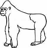 Gorilla coloring page  Animals Town Animal color sheets Picture sketch template