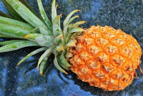 Pineapple On Table Free Stock Photo - Public Domain Pictures