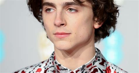 This May Be Timothee Chalamet's Best Hair Look Yet