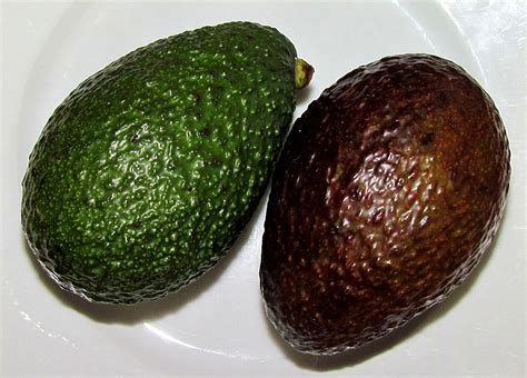 Healthy Avocado Free Stock Photo - Public Domain Pictures