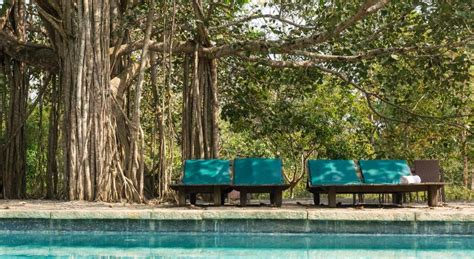 Kaav Safari Lodge, Kabini - Booking Deals + 2023 Promos