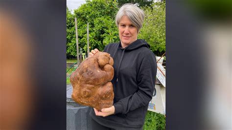 New Zealand couple accidentally grows what might be world’s largest potato, name it Doug - WSVN ...