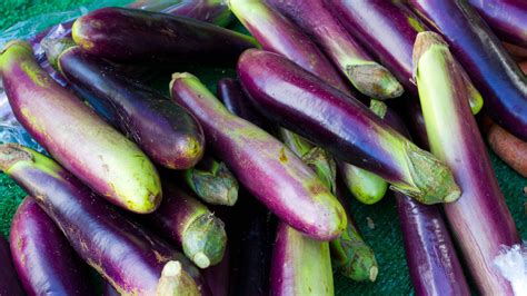 Japanese Eggplant: What Makes It Different From Other Types?