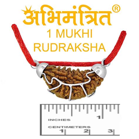 Buy 100% Original 1 Mukhi Rudraksha Online at Low Price in India ...