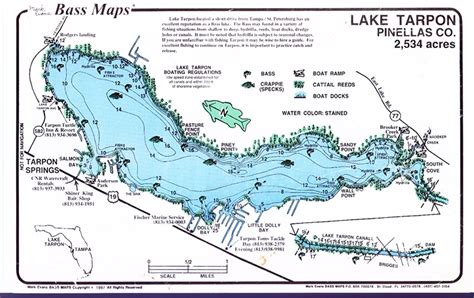 Lake Tarpon Bass Fishing Guide