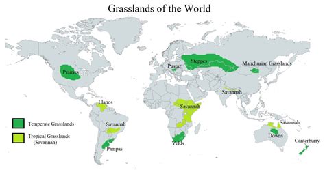 Grasslands of the World - Pan Geography