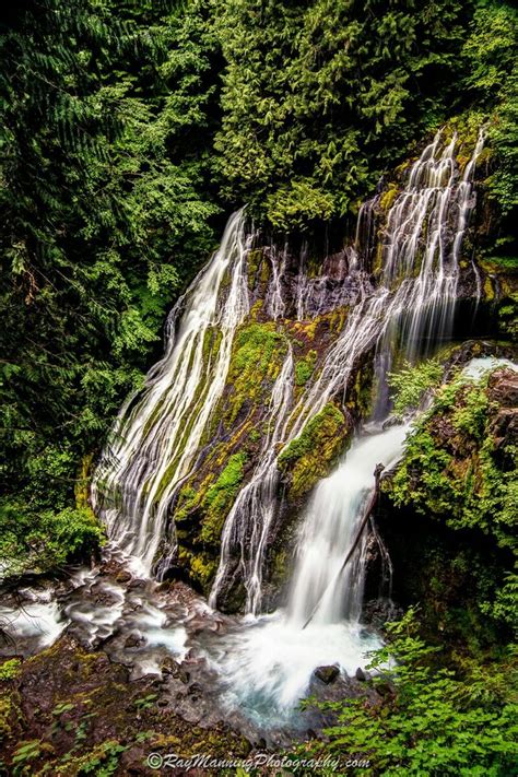 Panther Creek Falls - This fall is actually two falls in one. The veil on the left falls 102 ...