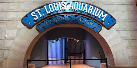 10 Things To Do At Union Station Aquarium | St. Louis Missouri - Love ...