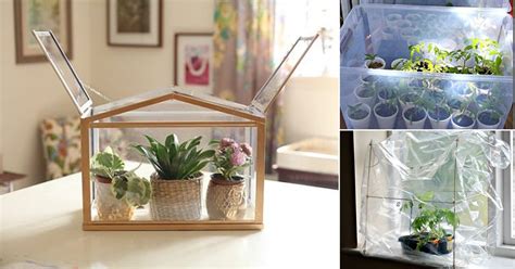 24 DIY Mini Indoor Greenhouse Ideas For Winter & Early Spring