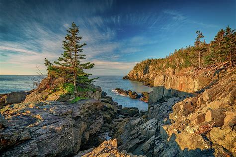 Cliffs of Quoddy Head State Park Photograph by Rick Berk - Fine Art America