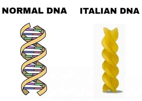 Funny Italian Memes: Is There Such a Thing as Italian DNA?