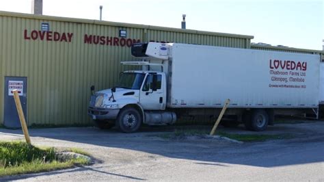 Fire damages truck at Winnipeg mushroom factory Loveday | CBC News