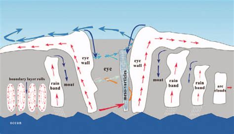 schematic plot of tropical cyclone structure and atmospheric phenomena... | Download Scientific ...