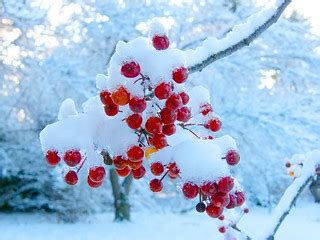 Winter Color | Stanley Zimny (Thank You for 54 Million views) | Flickr