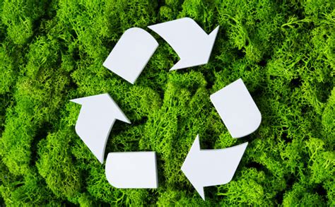 How to improve & increase your recycling – The Waste Management ...