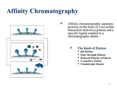 Affinity chromatography: Principles and applications