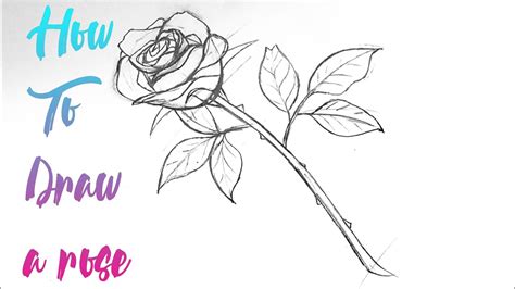 How To Draw a ROSE - Step by Step Drawing Tutorial - YouTube