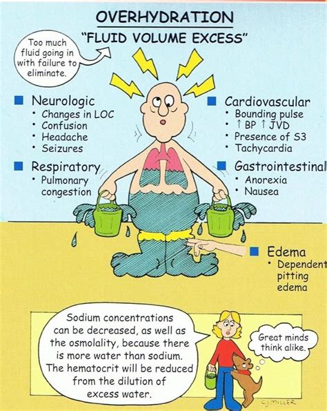 Fluid Volume Excess | Nursing school survival, Nursing school studying ...