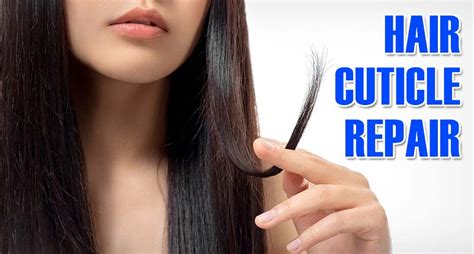 Master The Skills Of Hair Cuticle Repair Once And For All