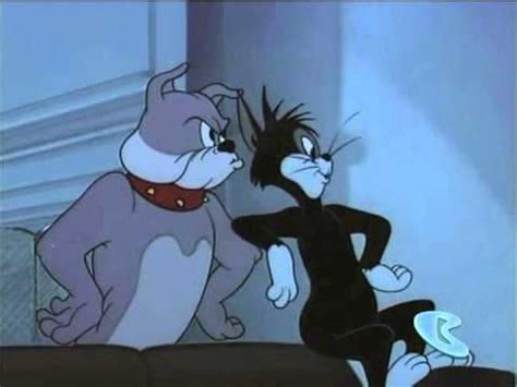 Butch Cat (Tom and Jerry) - Alchetron, the free social encyclopedia