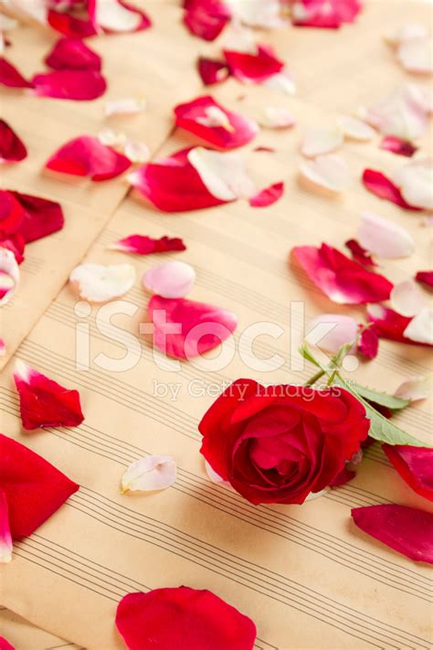 Music And Romance Stock Photo | Royalty-Free | FreeImages