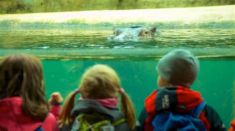 Zoo Berlin Tours - Book Now | Expedia