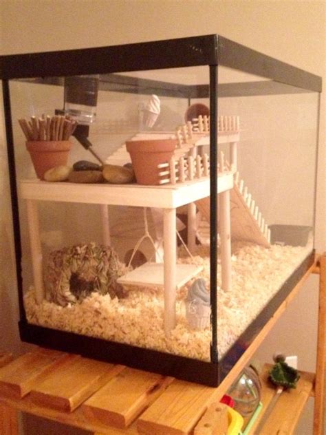 Hamster Cage - DIY aquarium conversion | Hamster house, Hamster habitat, Hamster toys