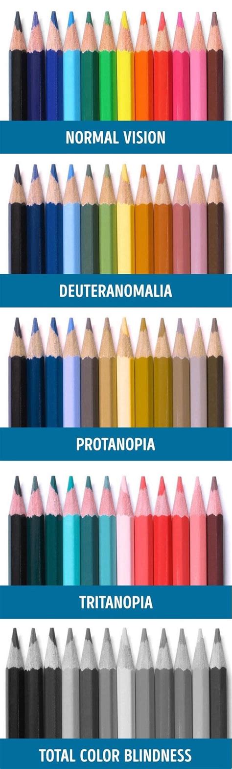 Different types of color blindness demonstrated : r/interestingasfuck