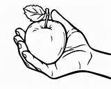 Apple Coloring Pages sketch template