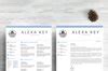 Professional Resume Template