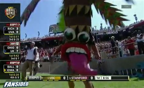 Stanford's Tree Mascot Evolved and it Looks Terrifying | Complex