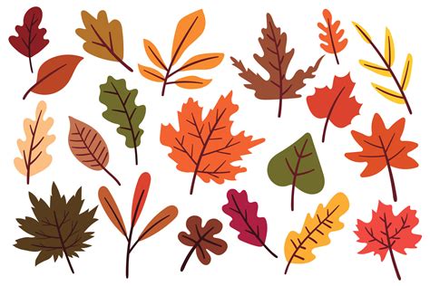 hand drawing cartoon autumn leaves sticker set 12804929 Vector Art at ...