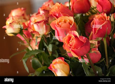 Winter rose flower bouquet Stock Photo - Alamy