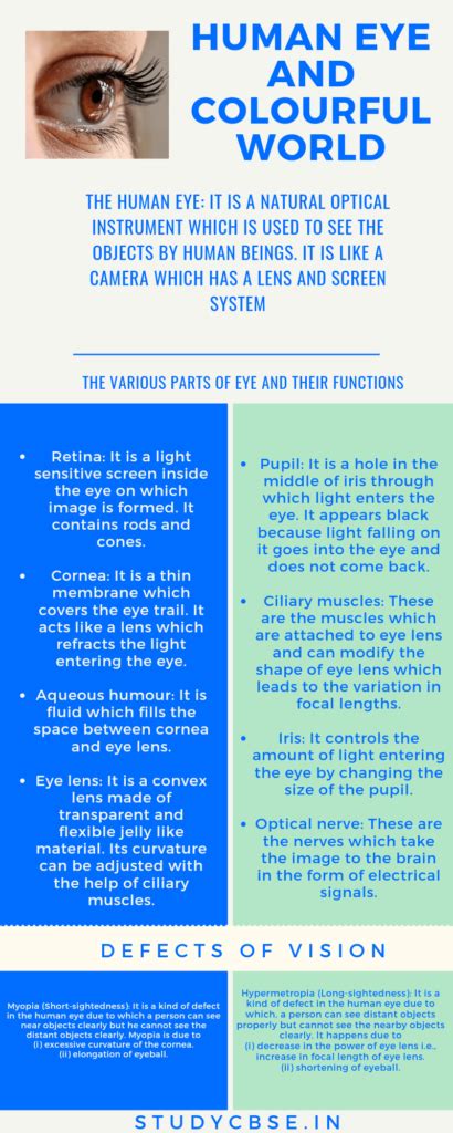 [Latest] Human Eye And Colourful World MCQ Assertion Class10