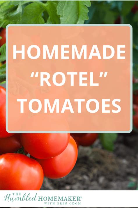 Homemade "Rotel" Tomatoes