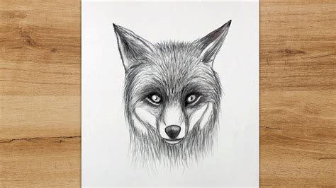 How To Draw A Fox Head