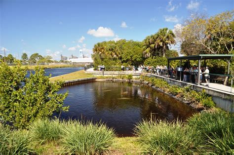 Laughing and Paddling at Manatee Park in Fort Myers, Fla. - Solo Travel Girl