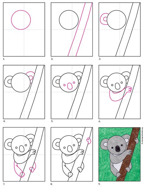 How To Draw A Koala Easy Step By Step Draw Central Koala Drawing | Porn Sex Picture